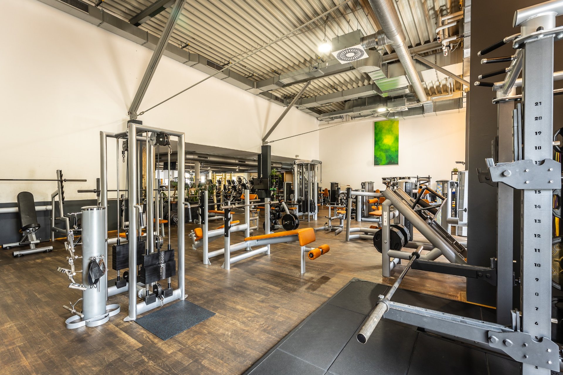 Free Weight Area